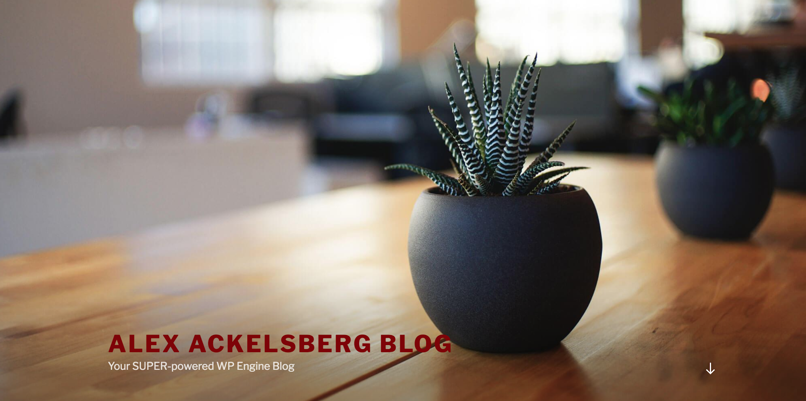 Site with maroon heading font color